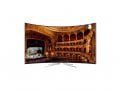 Vu 65 Inch LED Ultra HD (4K) TV (TL65C1CUS)