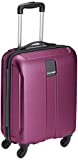Safari Thorium Stubble Luggage (21 Inch, Purple)