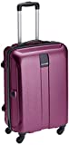 Safari Thorium Stubble Luggage (30 Inch, Purple)
