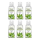Zuci Tulsi Basil Hand Sanitizer (30ML, Pack of 6)