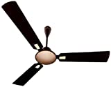 Bajaj Ultima Dziner Ceiling Fan (Black & Rose Gold)
