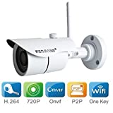 Wanscam Wireless IP HD CCTV Security Camera