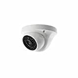 Sony XMORE 8040IP4D Dome CCTV Security Camera