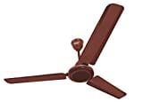 Maharaja Whiteline Zest Ceiling Fan (Brown)